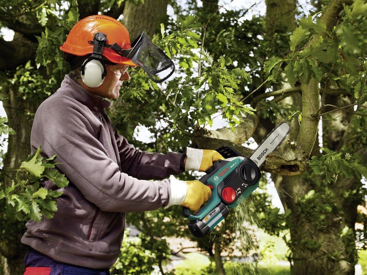 Prix abattage d'arbre 2026 : de 150 € à 1 500 €