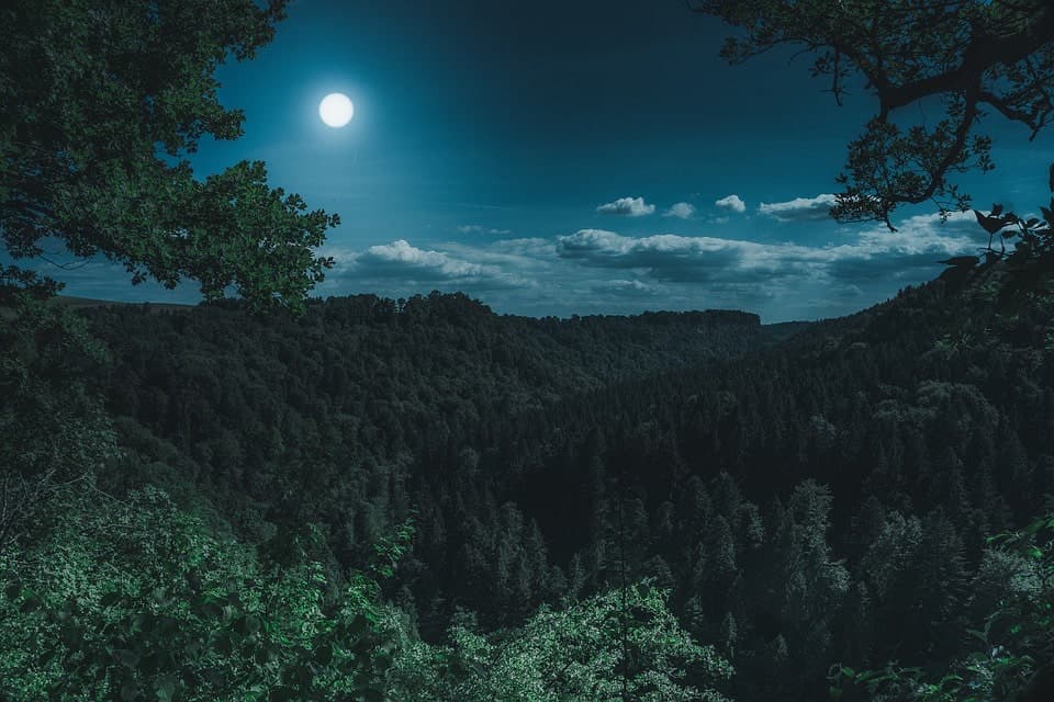 Pleine lune juin 2025 : jardinez selon les phases lunaires