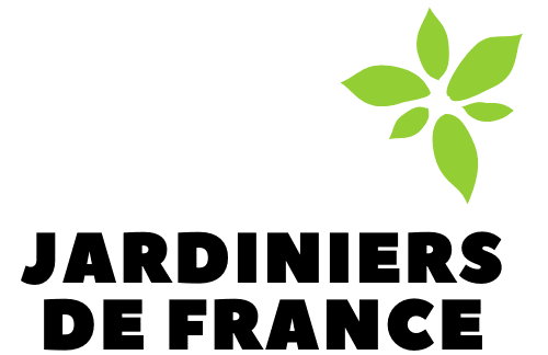 Bouturer hortensia : le guide complet (caractéristiques & conseils)