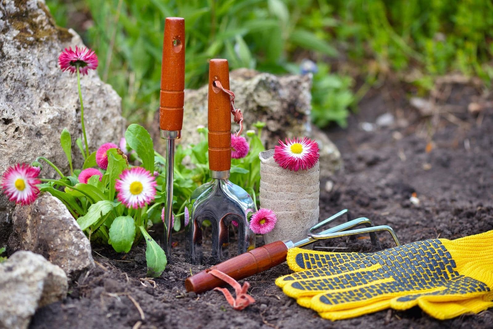 Nuisibles au jardin : identifier, prévenir et traiter efficacement