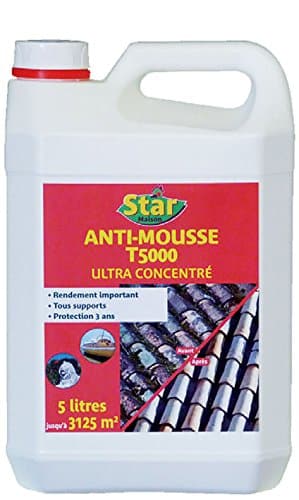 Anti Mousse Toiture