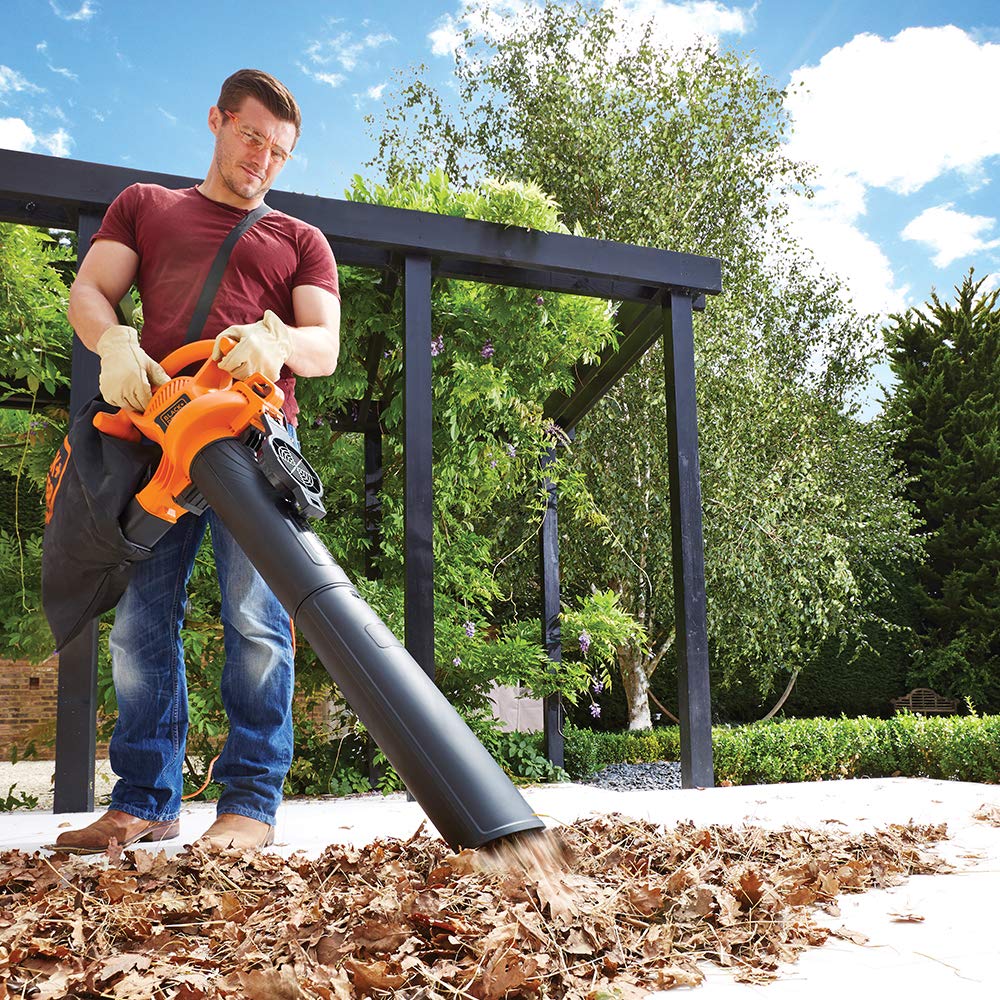 Aspirateur Feuilles