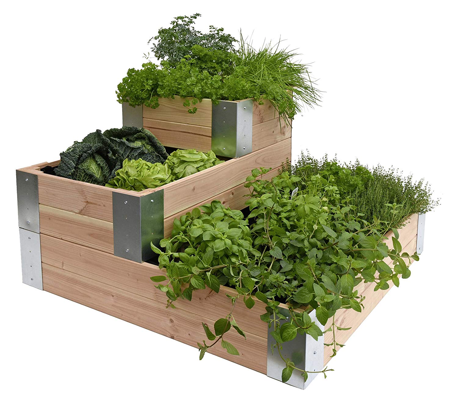 Comment entretenir un carré potager ?
