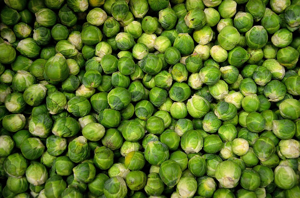 Comment cultiver les choux de Bruxelles?