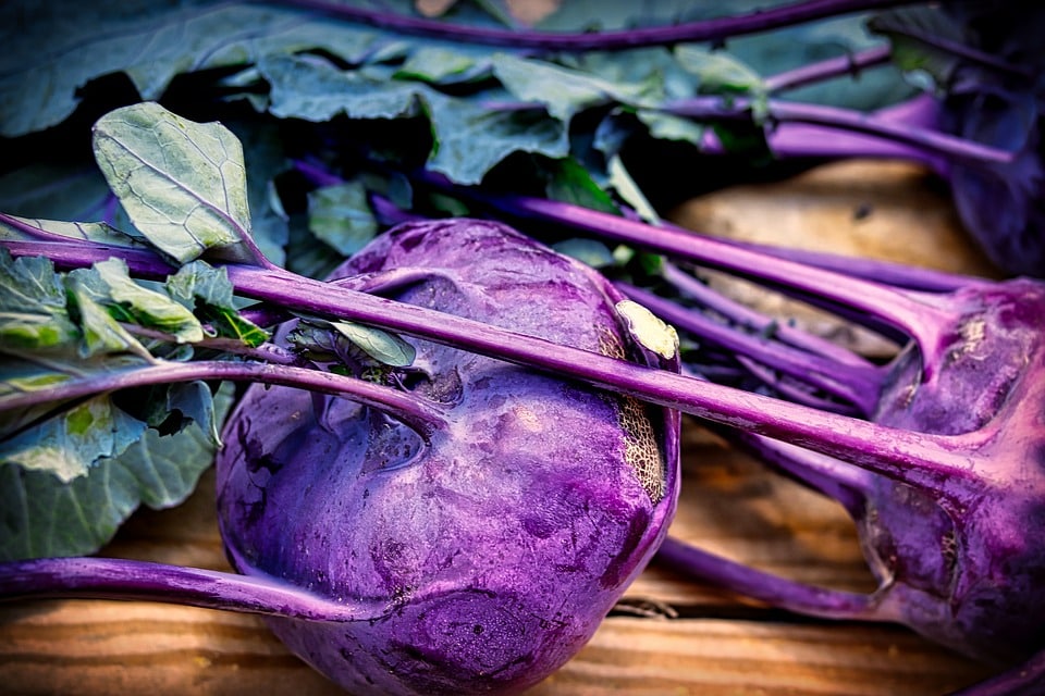 Comment cultiver le chou-rave dans notre jardin ?