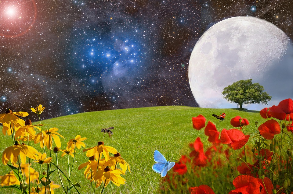 Comment la lune influence-t-elle le secteur agricole ?
