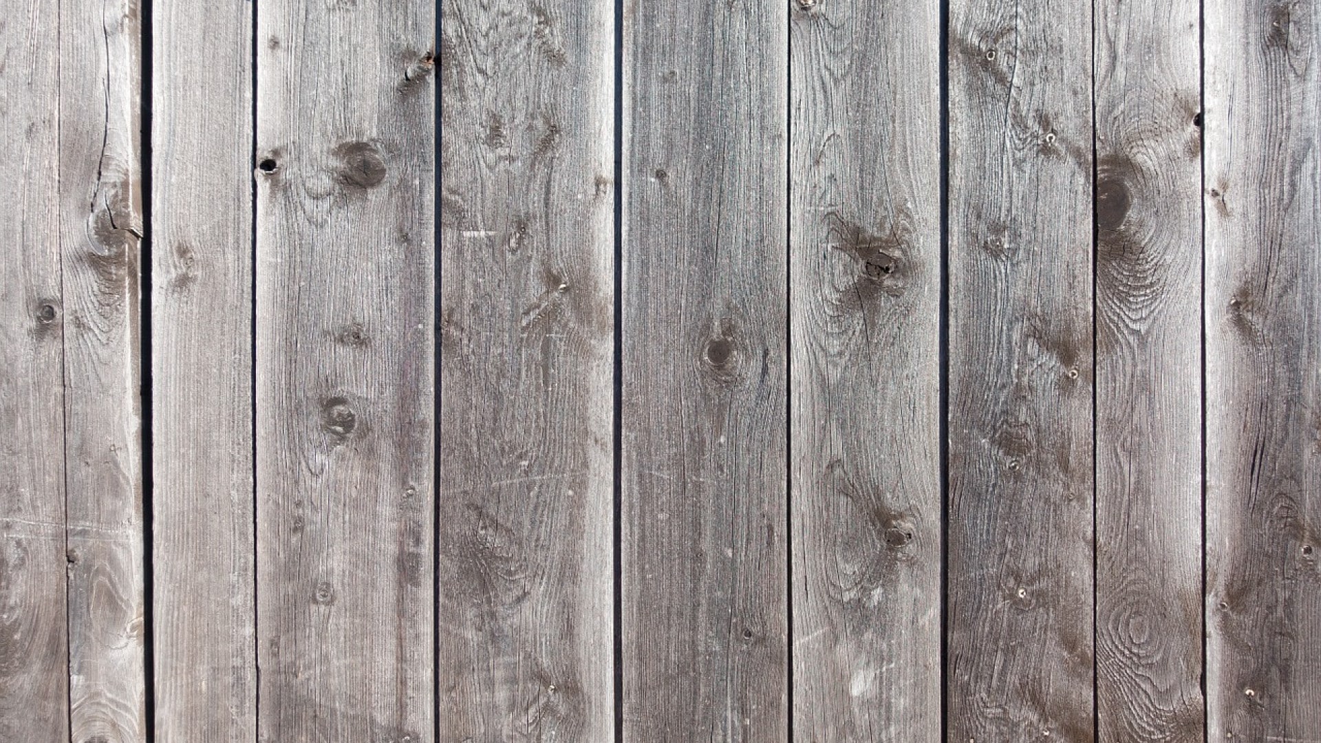 Tout savoir sur les brises-vues en bois