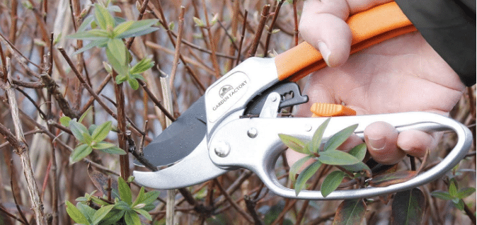 Sécateur : Test du Meilleur Produit, Guide et Avis