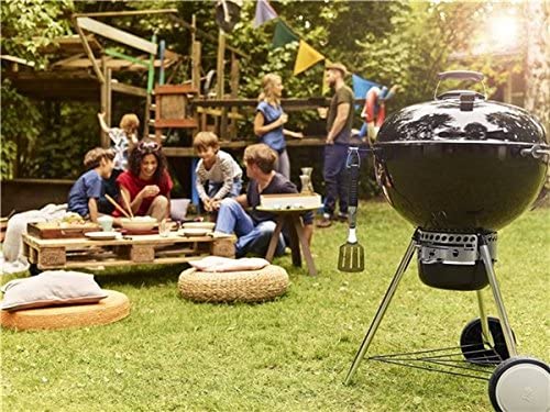 Barbecue bois et charbon