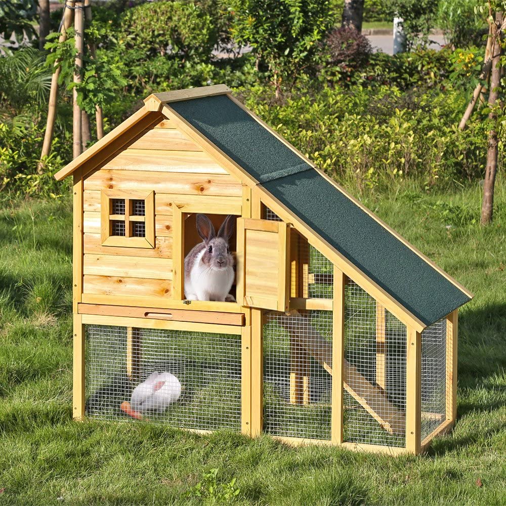 Clapier extérieur lapin