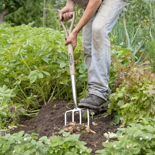 Comparatif et Guide pour acheter le meilleur fourche…