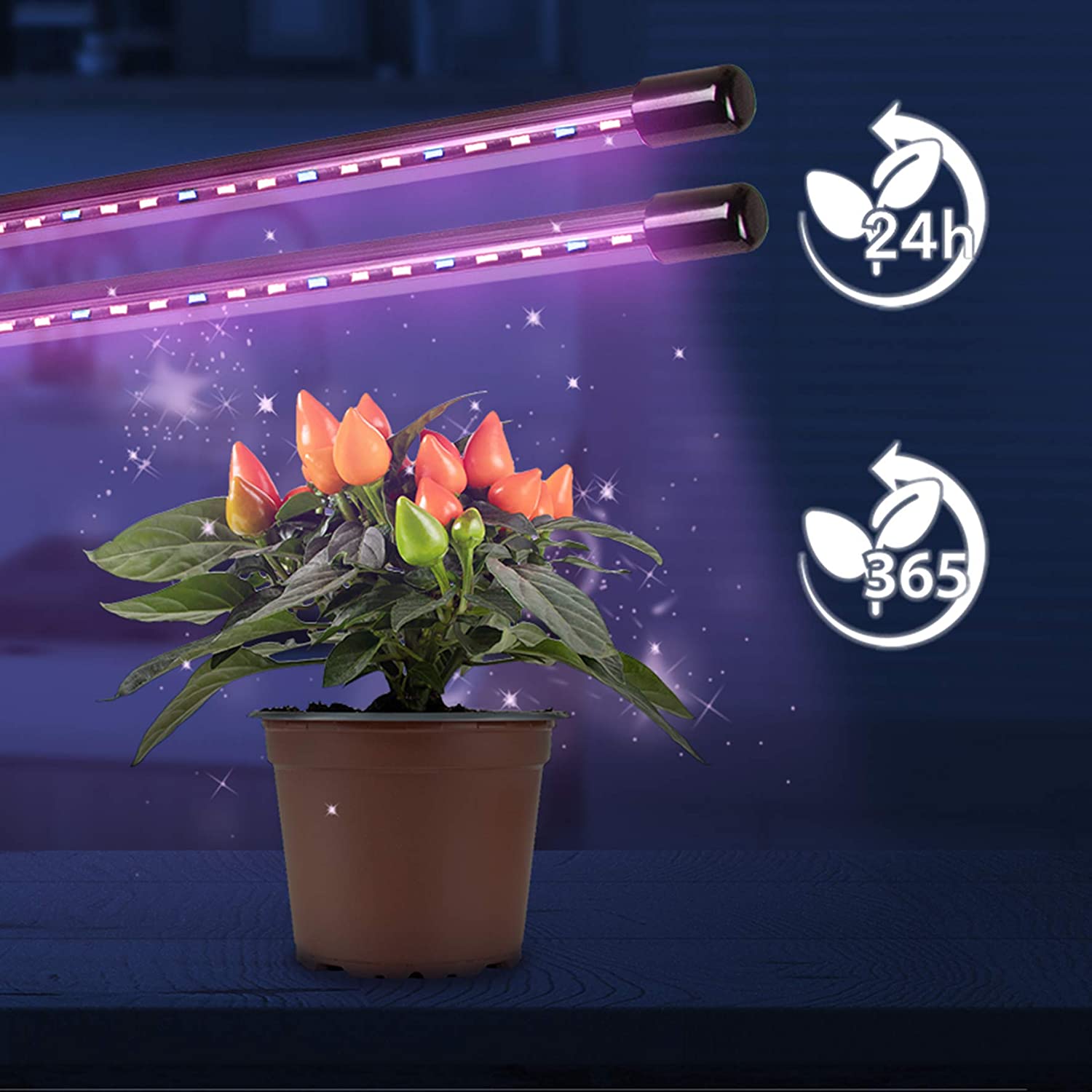 Lampe led culture indoor