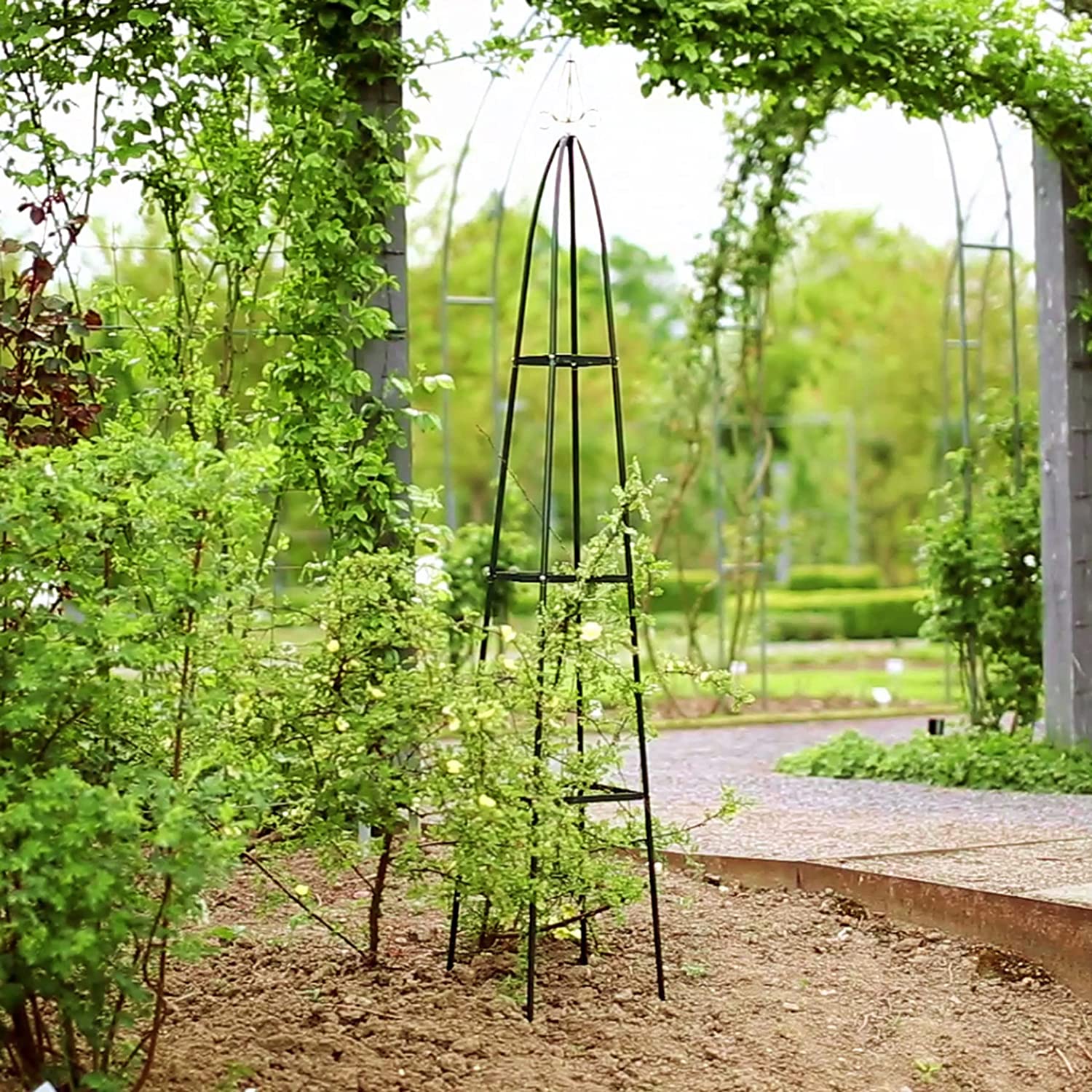 Support plante grimpante : Test du meilleur trellis,…