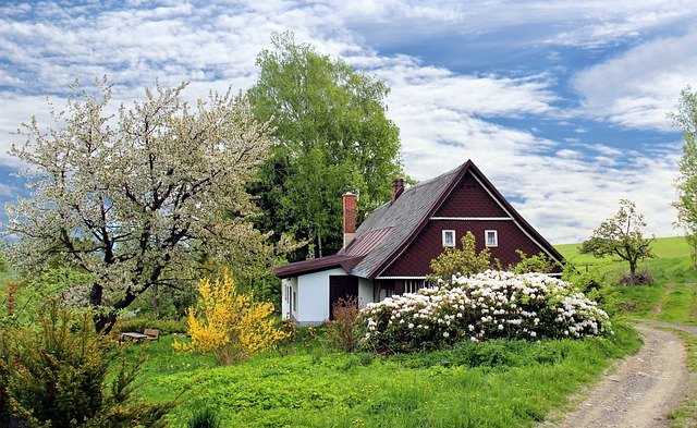 Abris de jardin : Comparatif et guide