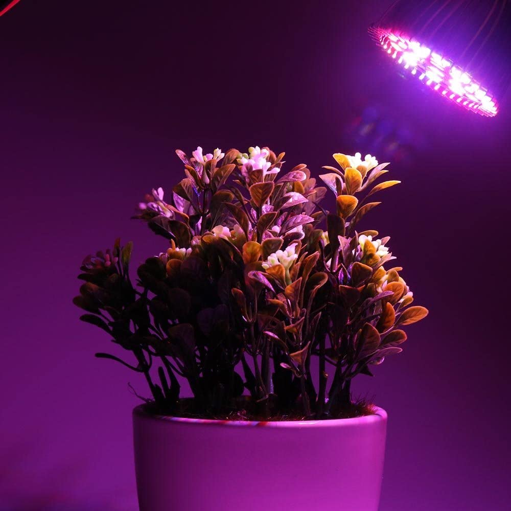 Lampe led horticole