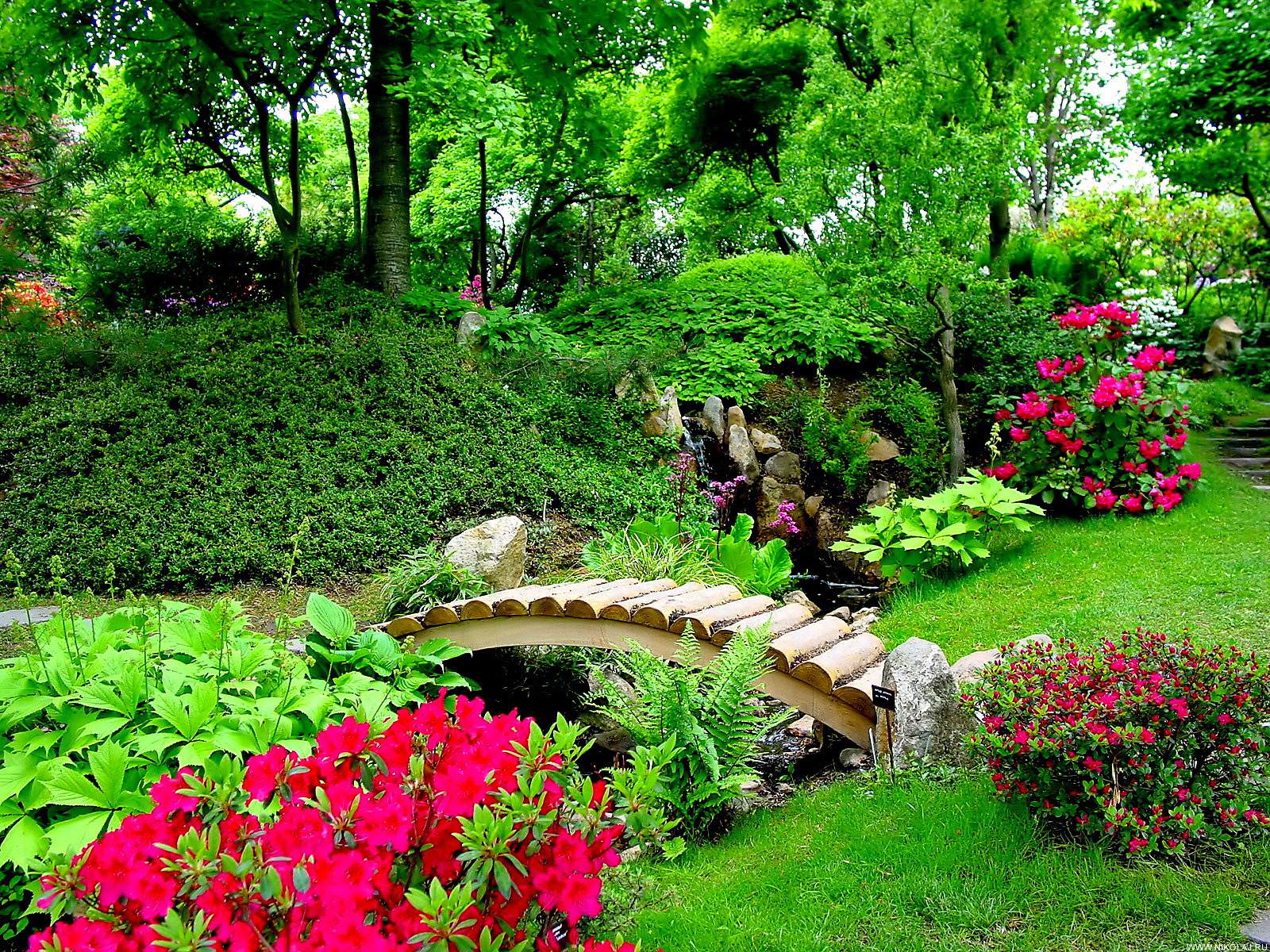 garden