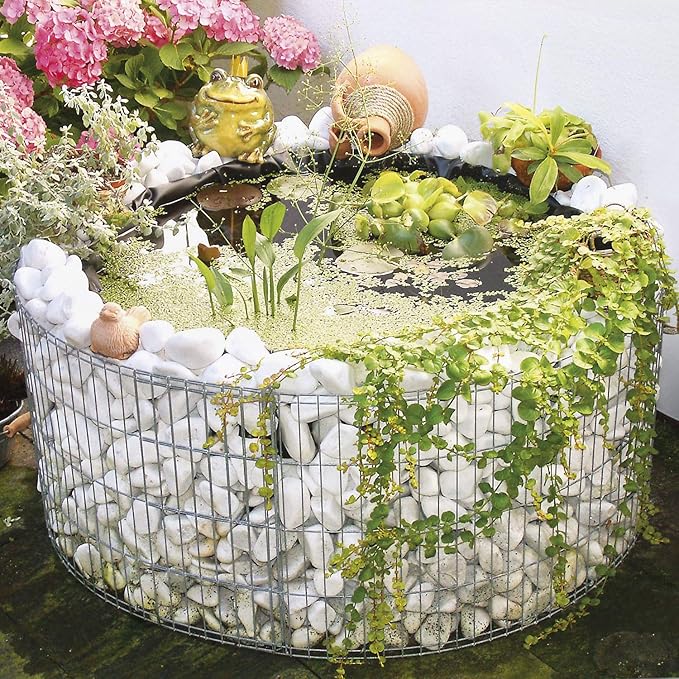 jardin fleuri